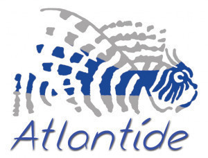 Atlantide-plongée.jpg