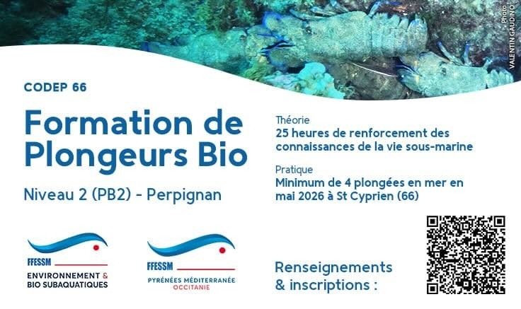Le CDEBS Pyrénées-Orientales propose une formation PB2 pour la saison 2025-2026 sur Perpignan et sa région.
