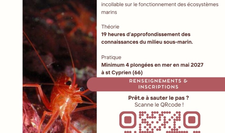 Formation PB2, plongeur Bio 2