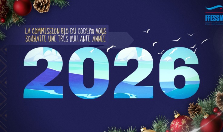 Bonne année 2026