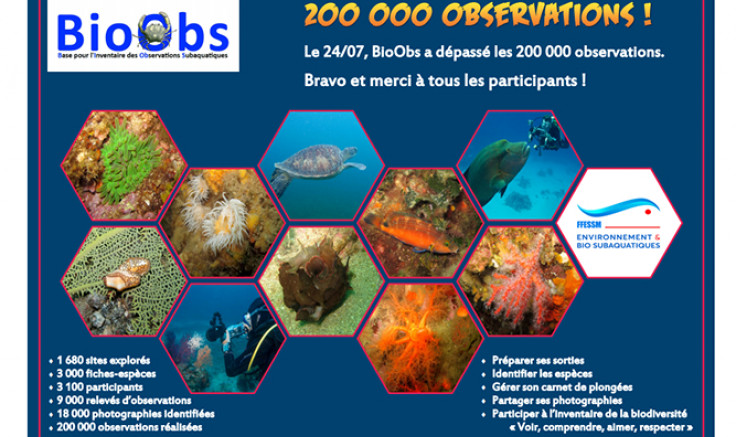 200 000 observations pour BioObs !